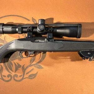 Ruger 10/22