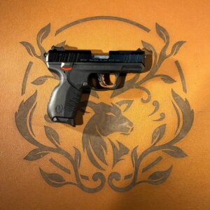 Ruger SR22