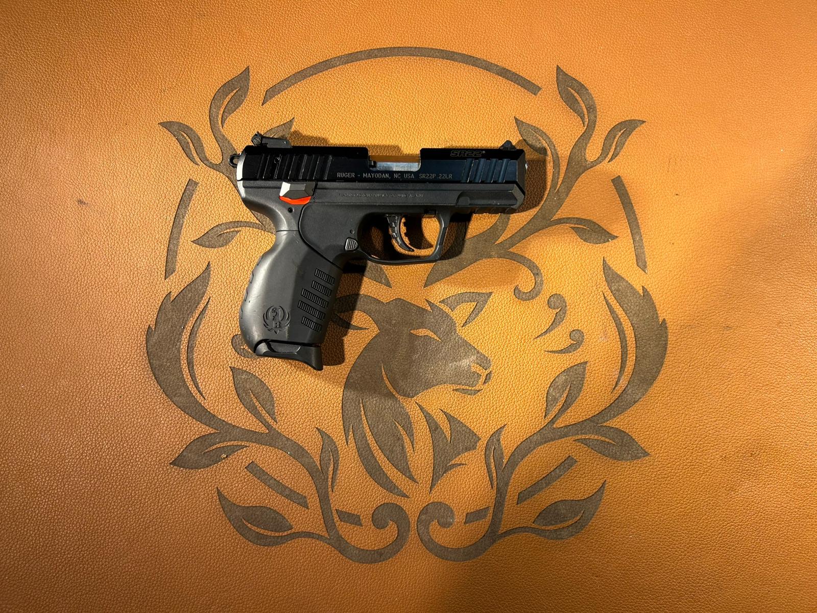Ruger SR22